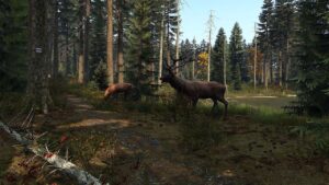 DayZ - Gamersmaze.com