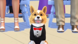 The Sims 4 Cats & Dogs - Gamersmaze.com