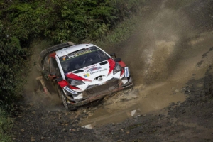 WRC 9: FIFA World Rally Championship - Gamersmaze.com