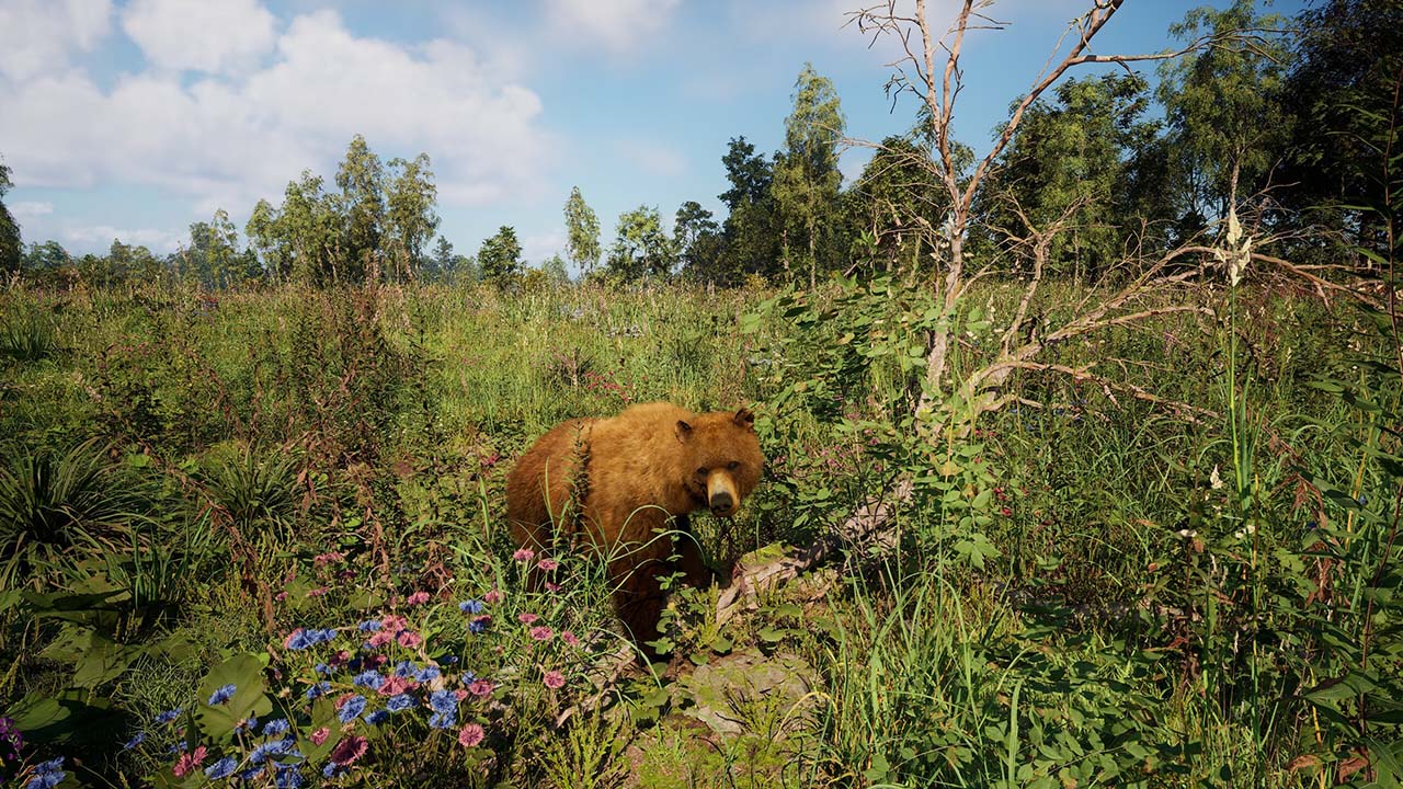 Russian Soul Simulator Gameplay Image - Gamersmaze.com
