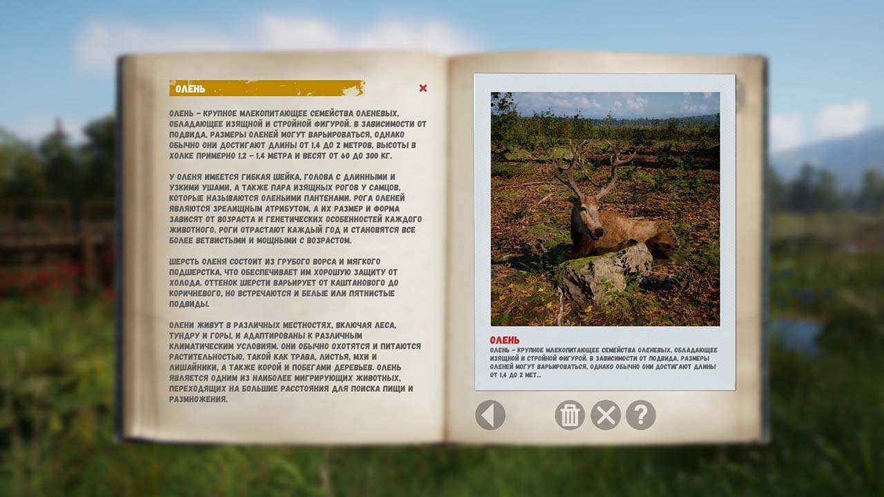 Russian Soul Simulator Gameplay Image - Gamersmaze.com